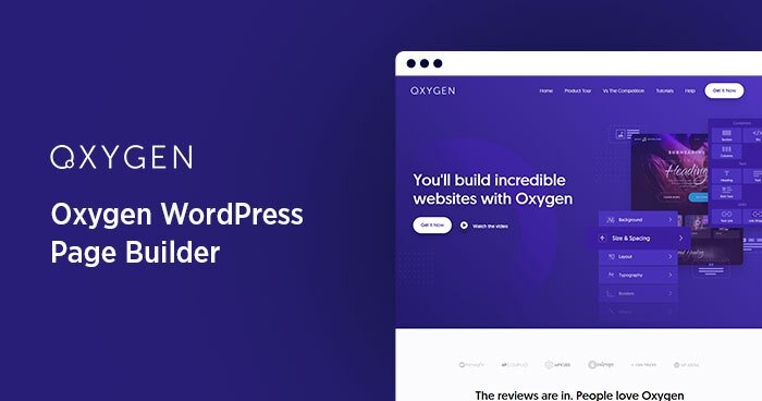 WordPress Theme Builders