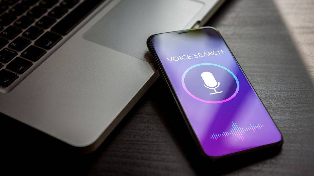 Reasons To Invest In Voice Search Optimization